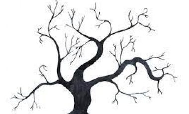 Pohon Bengkok Yang Penuh Makna